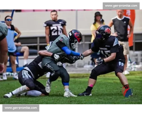 体育赛事观众体验升级策略与互动参与模式创新研究