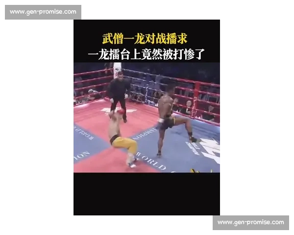 武林风黑龙精彩对决全程回顾震撼瞬间揭秘